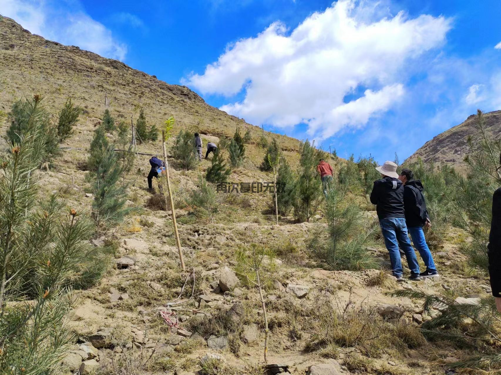 西藏嘉棟工程，與你共繪六一歡樂(lè)時(shí)光